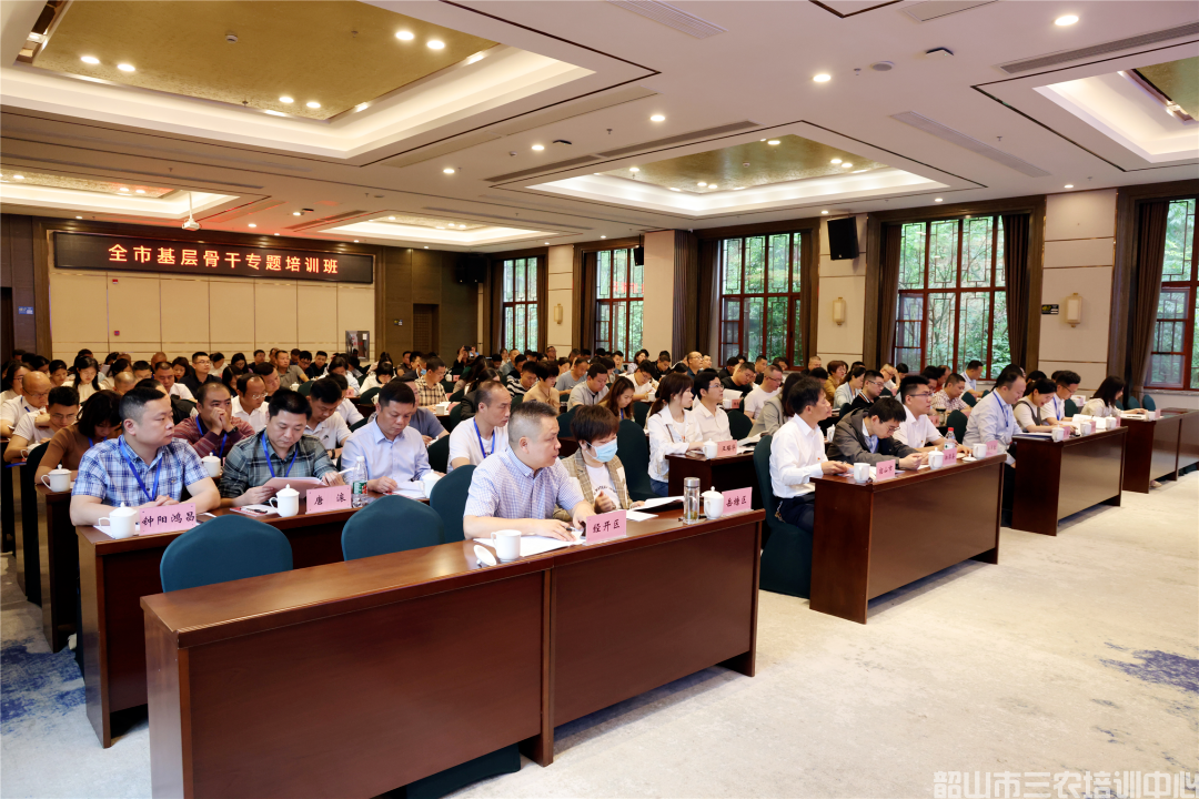 為基層干部賦能充電！全市基層骨干專題培訓班開班(圖3)